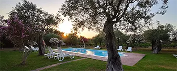 The olive grove park of Villa Grazia is a place of enchantment, where the beauty of Sardinian nature reveals itself in all its splendor